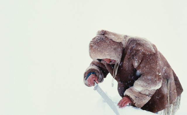 Outdoor survival experts have several career path options.