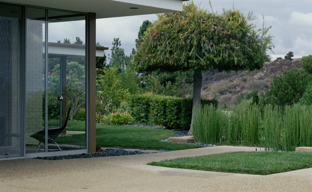 A contemporary home offers a smooth flow from the interior to the exterior of the home.
