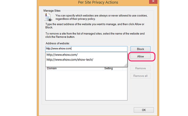 Enter a website URL to allow or block its cookies.