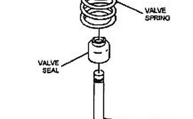 Valve spring and seal assembly