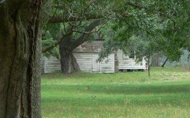 Slave Cabins on a South Carolina Indigo Plantation courtesy of Google Images