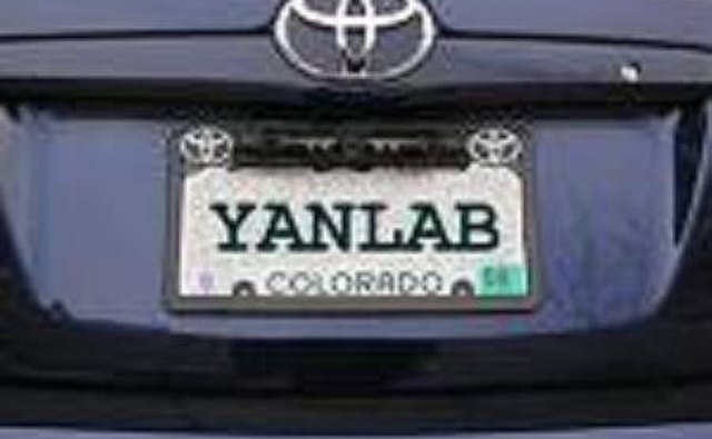 Plate-mounted rear-view camera