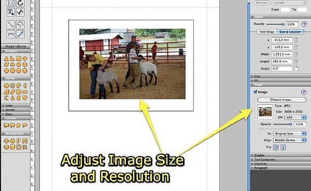 Adjust Image