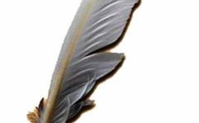 Quill Pen