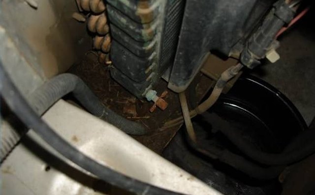 The Petcock might stick out like this or be underneath the radiator.
