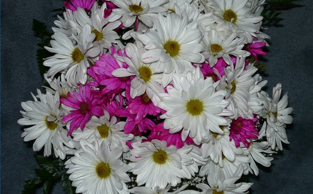 Daisies, associated with the fifth anniversary, can be incorporated into celebratory activities.