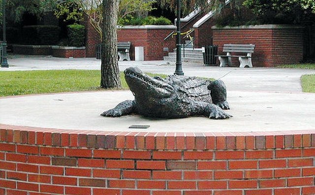The University of Florida is the heart of Gainesville.