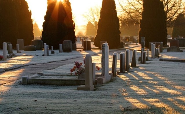 Visit graveyards