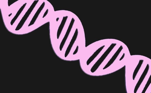 DNA chain