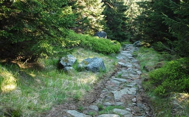 Obstacle courses are often in an outdoor setting like a park or wooded area.