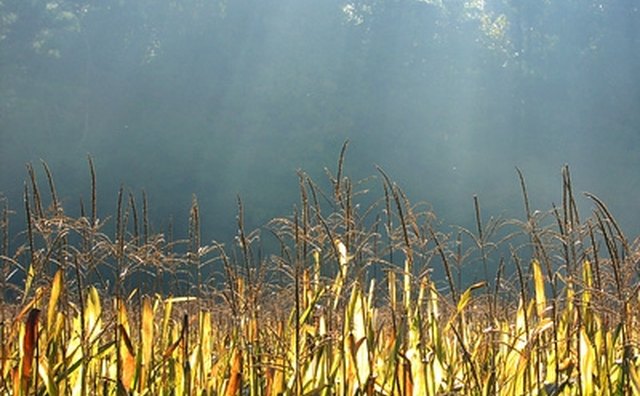 Xenon-arc devices are used to mimic the effects of sunlight and weather on material.