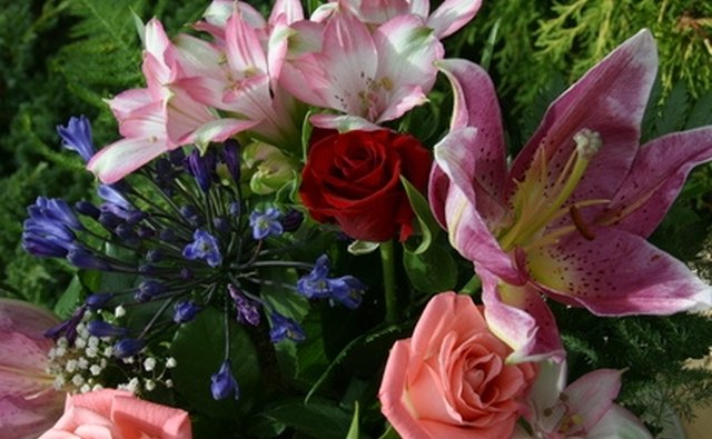 Thirty-one flowers to represent 31 years