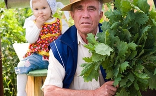 Select photographs of individuals or groups to be featured in the family tree picture frame.