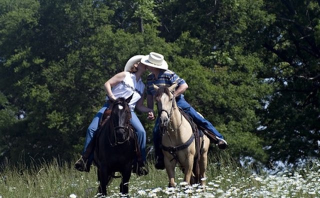 Horseback riding is a good recreational activity for couples who enjoy nature and animals.