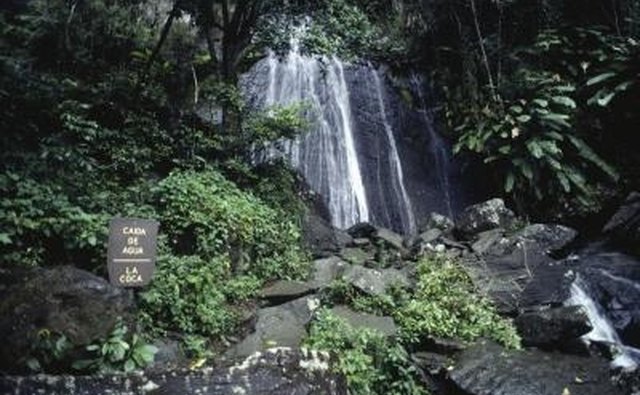 Puerto Rico is home to the only tropical rain forest in the United States.