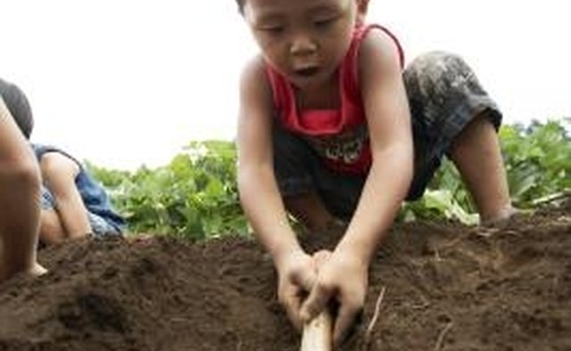 Erosion can strip away much needed soil.