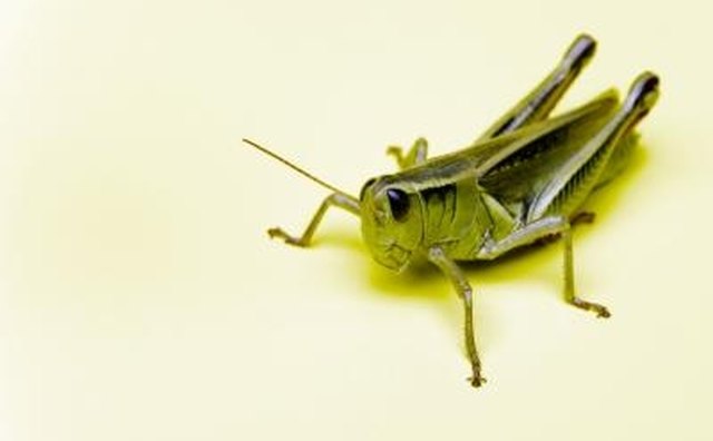 In