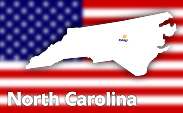 Cougars were seen throughout North Carolina from the western border to the eastern border.
