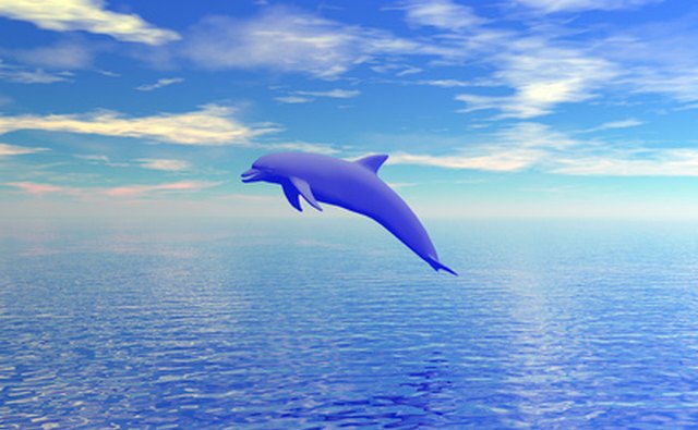 Science Daily reports that fishing activities stunt the dolphin population.