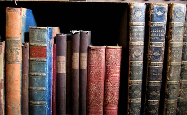 Narratives were a precursor of novels