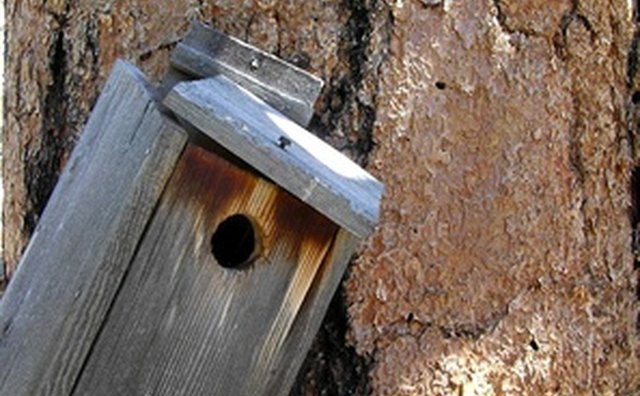A simple birdhouse.
