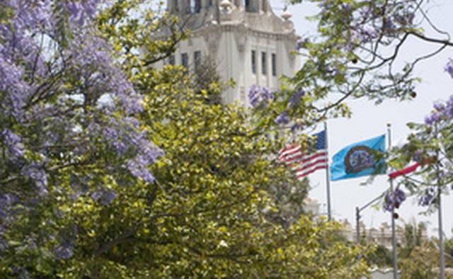 Beverly Hills City Hall is right next to the Beverly Hills Public Library.