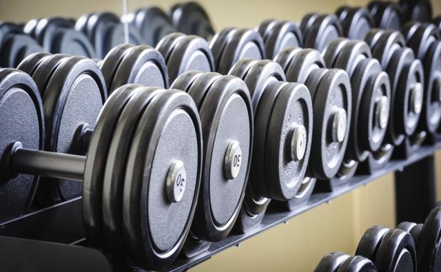 A row of free weights.