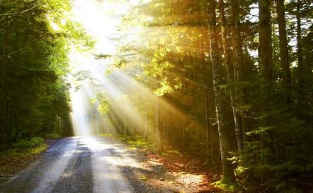 Retreat centers offer calm and serenity to connect with God.