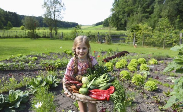 Little girl with basket full of veggies