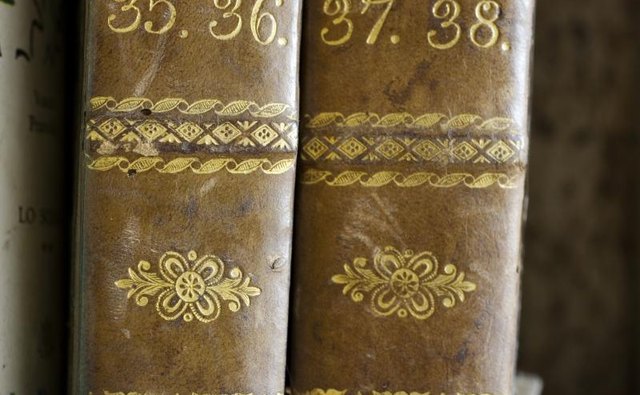 A close-up of the spines of antique books.