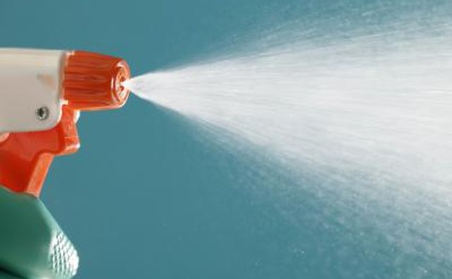Ammonia-based window cleaner