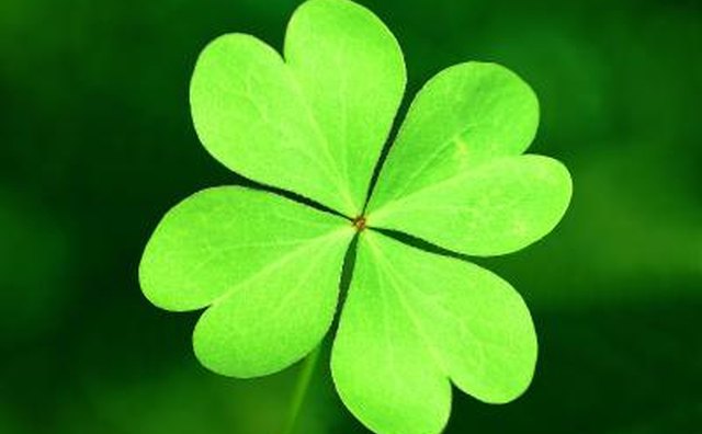 lucky