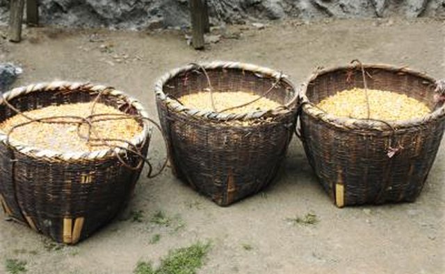 Baskets of corn