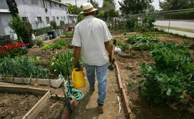 Grow you own vegetables in a backyard garden.