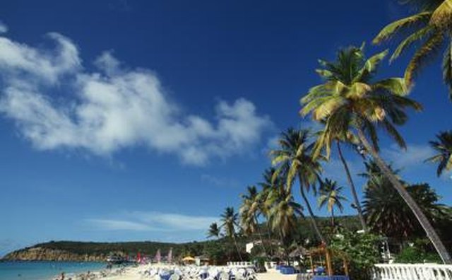 View in Antigua