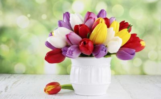 Colorful flowers help to brighten the day.
