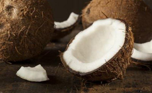 An open coconut.