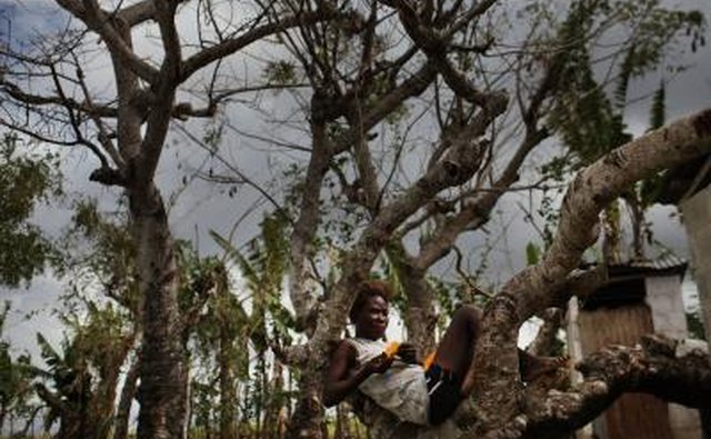 Woman relaxes in a tree in San Pedro, Dominican Rep.