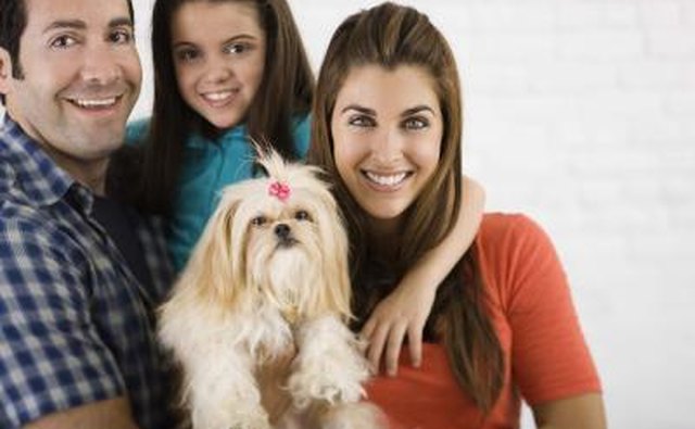Include the pet in the family newsletter name.