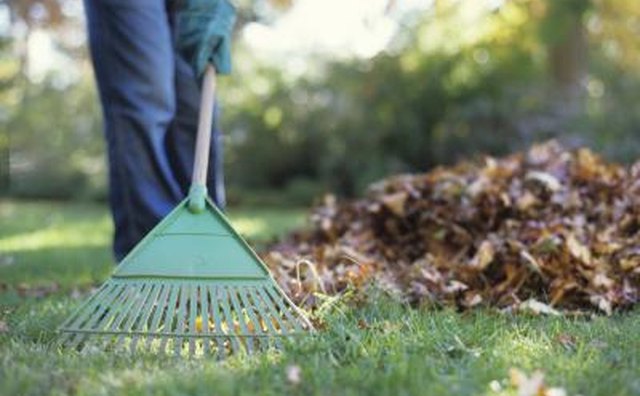 Complete a service project such as raking leaves.
