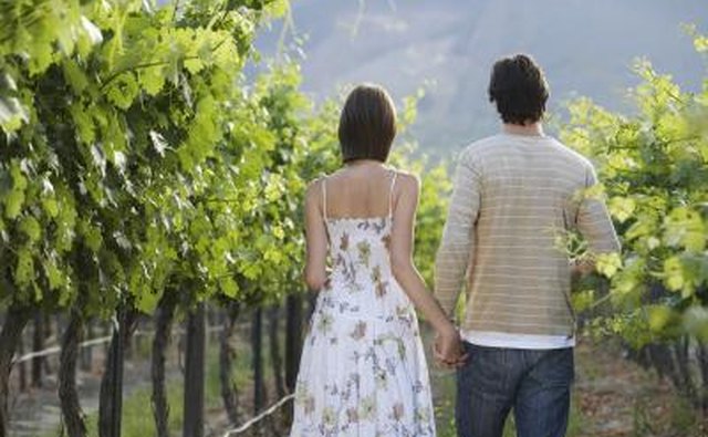 Couple on a romantic visit to winery
