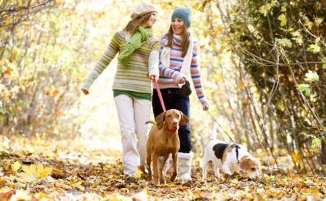 Friends on walk