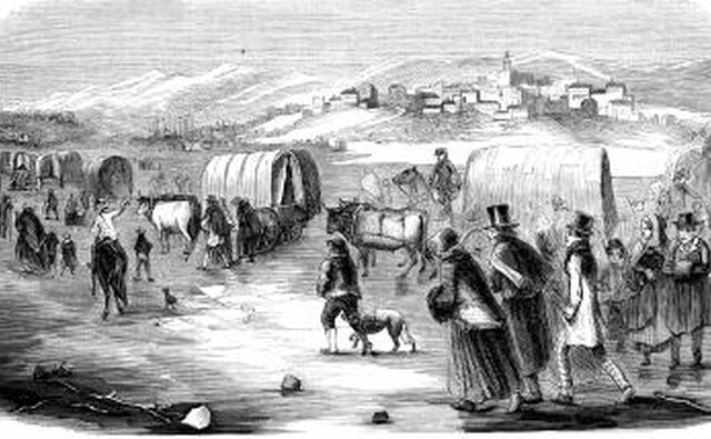 Mormons are not exempt from the law prohibiting polygamy in America.