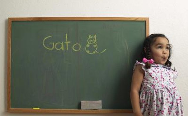 Migrants may have to learn a new language.