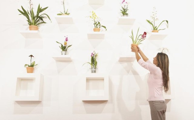 Creative wall display