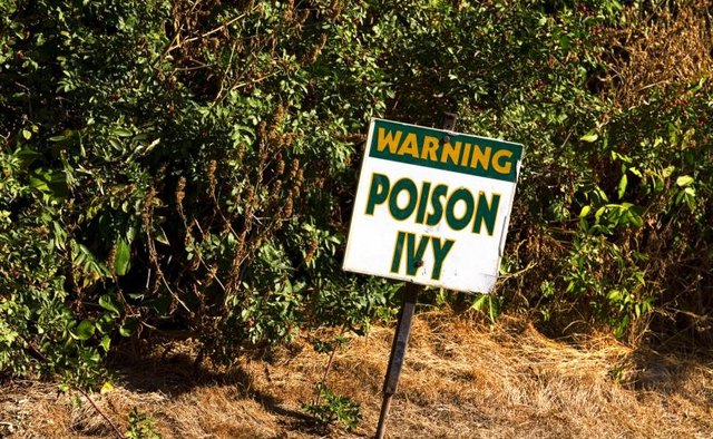 A sign warning of poison ivy.