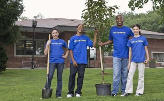 Volunteers of a social group planting trees.