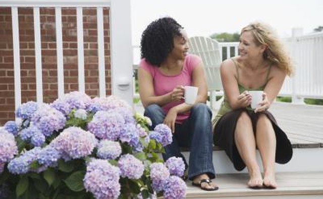 Friends talking