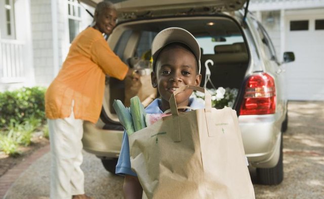 Boy carrying bag of groceries