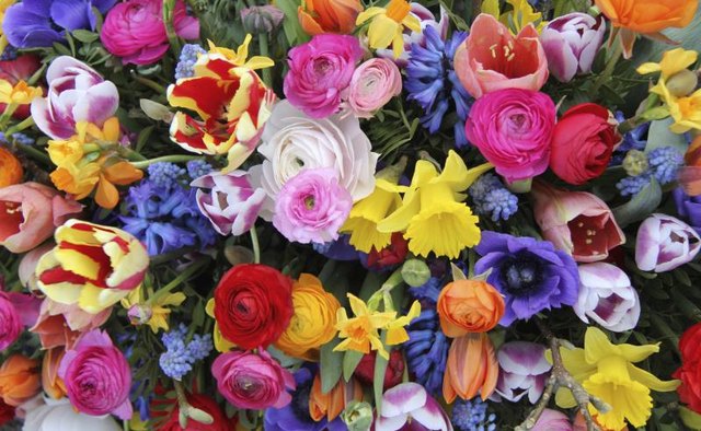 Brightly-colored flower arrangement